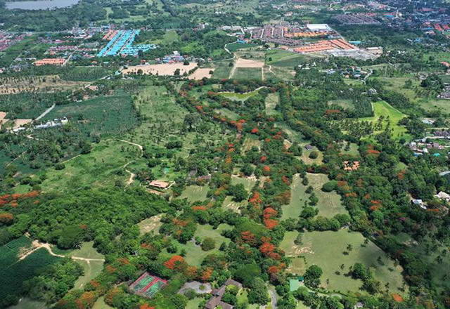 Bangsaray Hillside, erstklassiges Baugrundstück zum Verkauf 460 M. THB